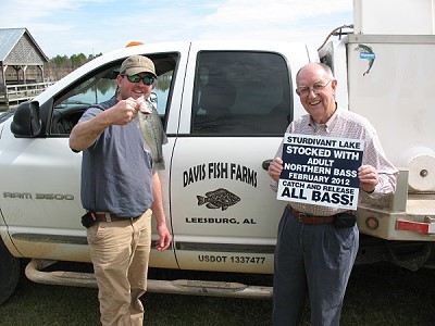 Danial Davis unloading Northern Largemouth Bass into Sturdivant Lake, Feb. 2012