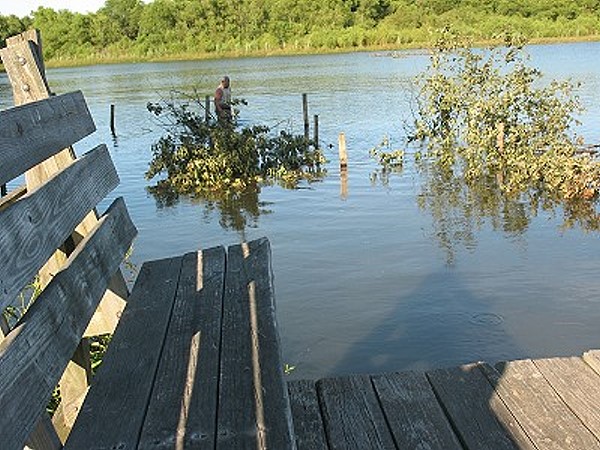 Tree structure as see from Donavan ramp pier, July 2014