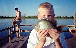 Hudson Wilson with a nice coppernose bream