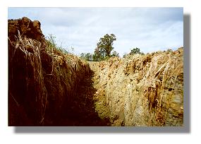 Ditch structure in Lake Inez