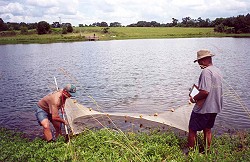 Jay Haffner and Maurice Jackson checking Lake Emma Lou