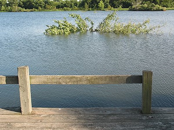 Tree structure added in front of the Donavan ramp pier, July 2014