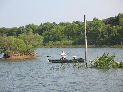 Trees tied to poles in Donavan ... Rod Bamberg fishing, July, 2014