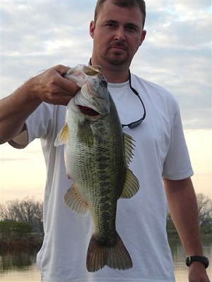 Brian Sharp, 2008