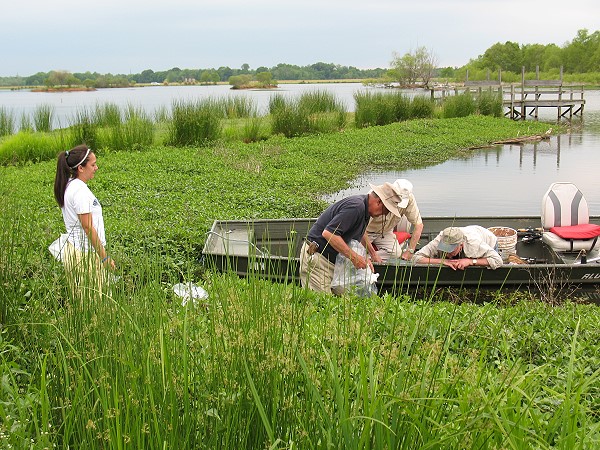 adding 1,000,000 golden shiners to Donavan Lake