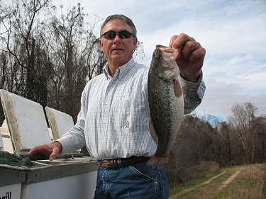 Adult Northern Largemouth Bass added to Snag Lake, Jan. 16.