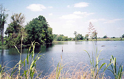 Snag Lake 2003