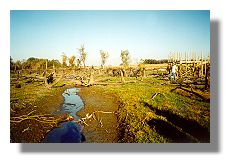 Snag Lake logs...outstanding bass structure!