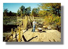 Manager Wilson shoveling pea gravel for bream beds