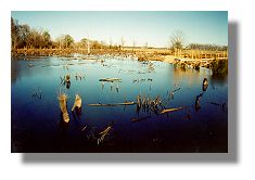 Snag Lake with new pier