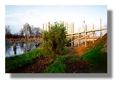 Snag Lake with pier