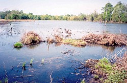 Snag Lake,  April of 2002