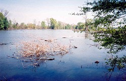 Snag Lake, April of 2002
