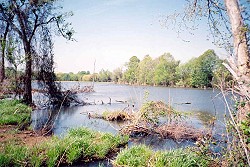 Swamp Lake in April of 2002